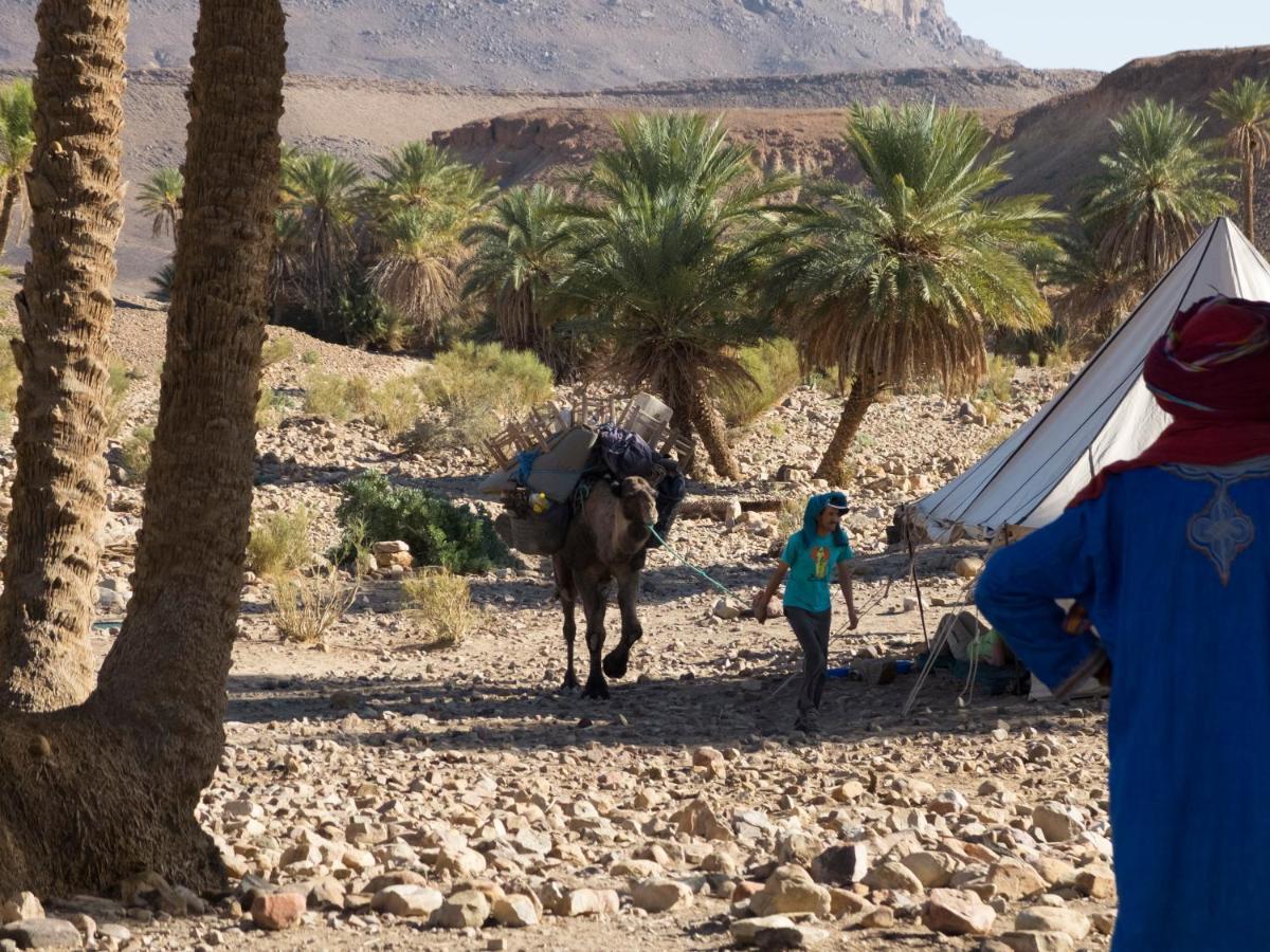 Bivouac Les Nomades & Foum Zguid To Chegaga Tours Hotel ภายนอก รูปภาพ