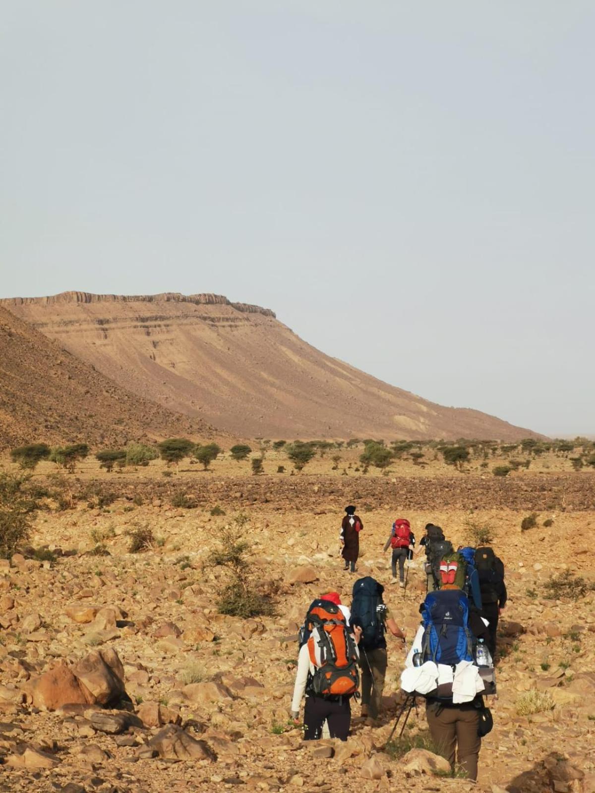 Bivouac Les Nomades & Foum Zguid To Chegaga Tours Hotel ภายนอก รูปภาพ