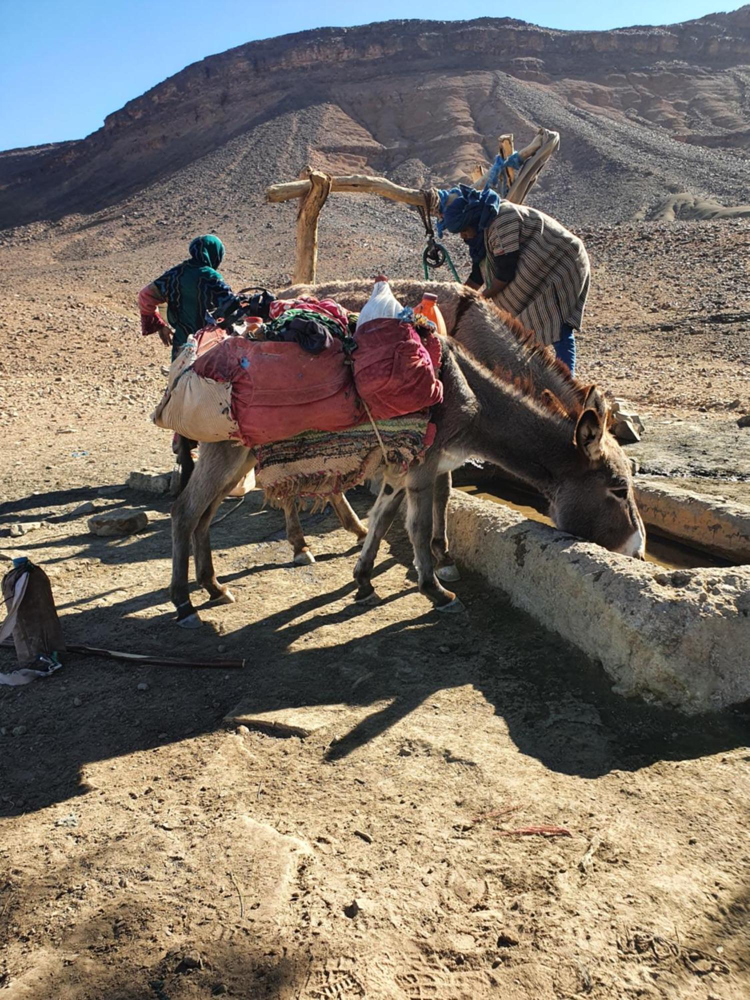 Bivouac Les Nomades & Foum Zguid To Chegaga Tours Hotel ภายนอก รูปภาพ
