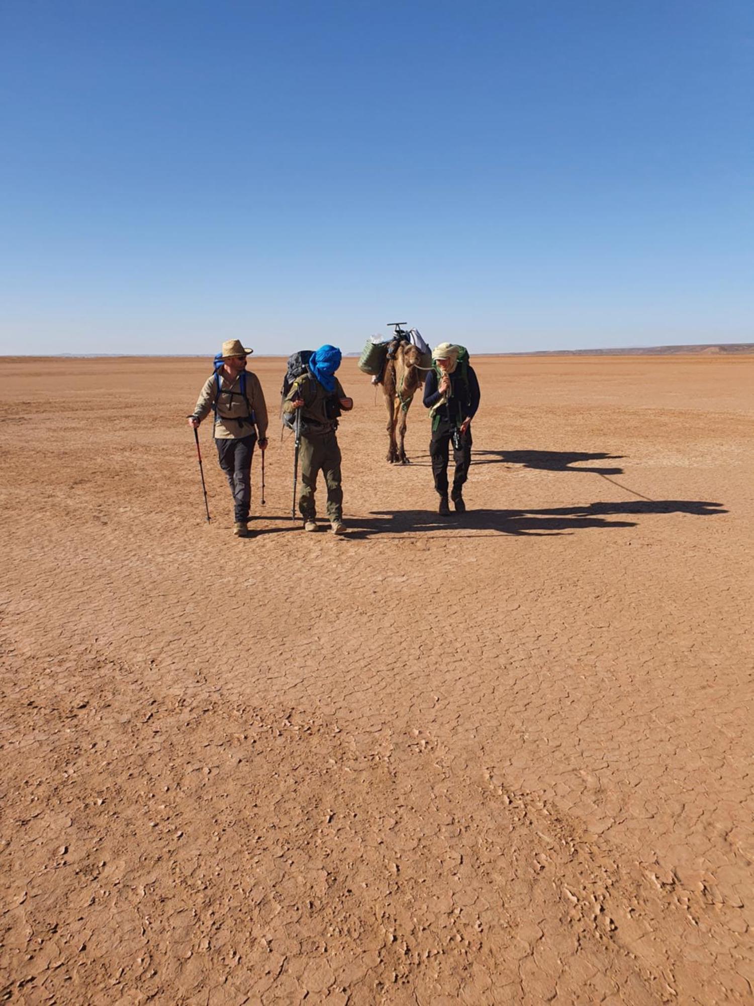 Bivouac Les Nomades & Foum Zguid To Chegaga Tours Hotel ภายนอก รูปภาพ