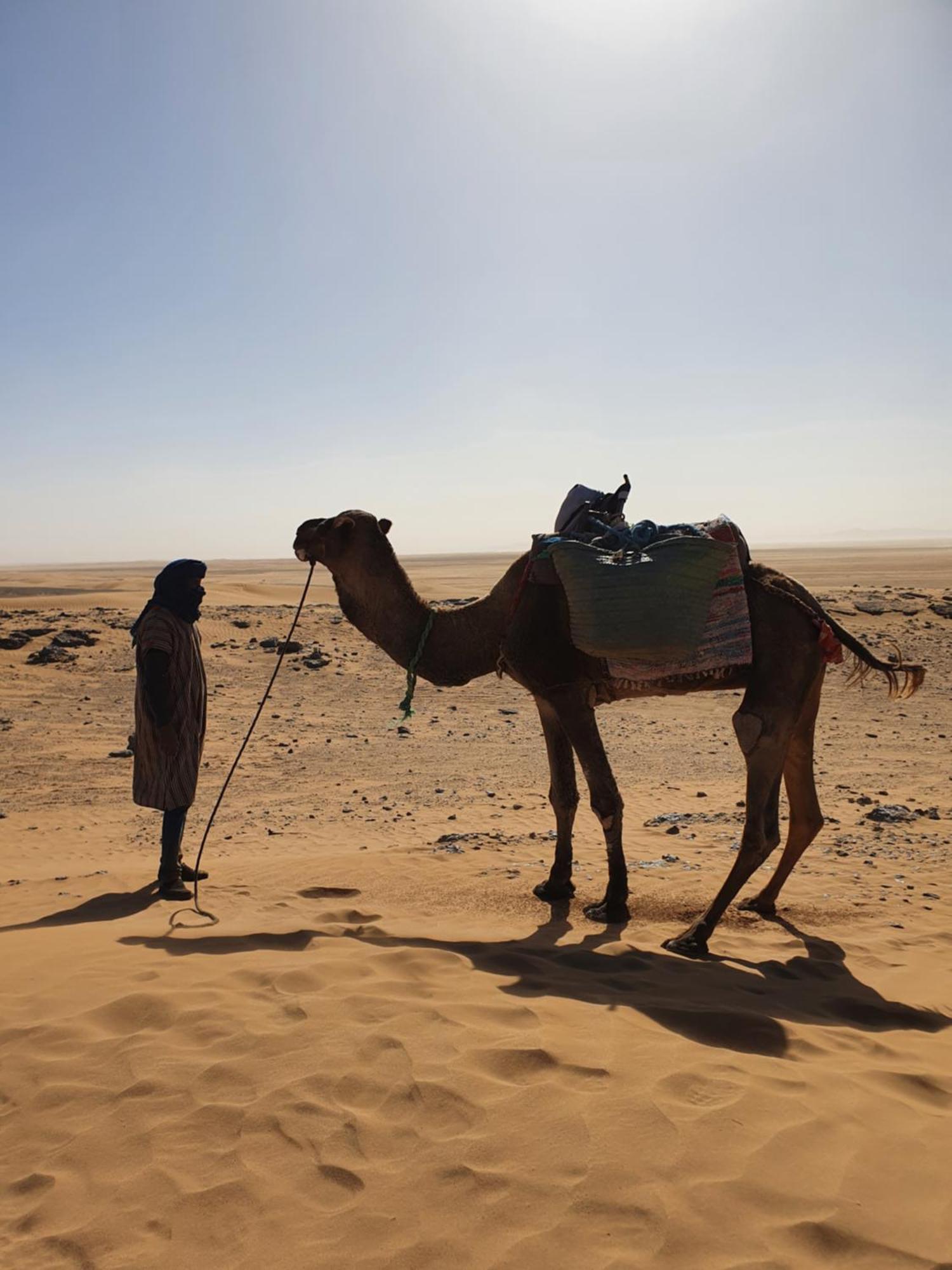 Bivouac Les Nomades & Foum Zguid To Chegaga Tours Hotel ภายนอก รูปภาพ