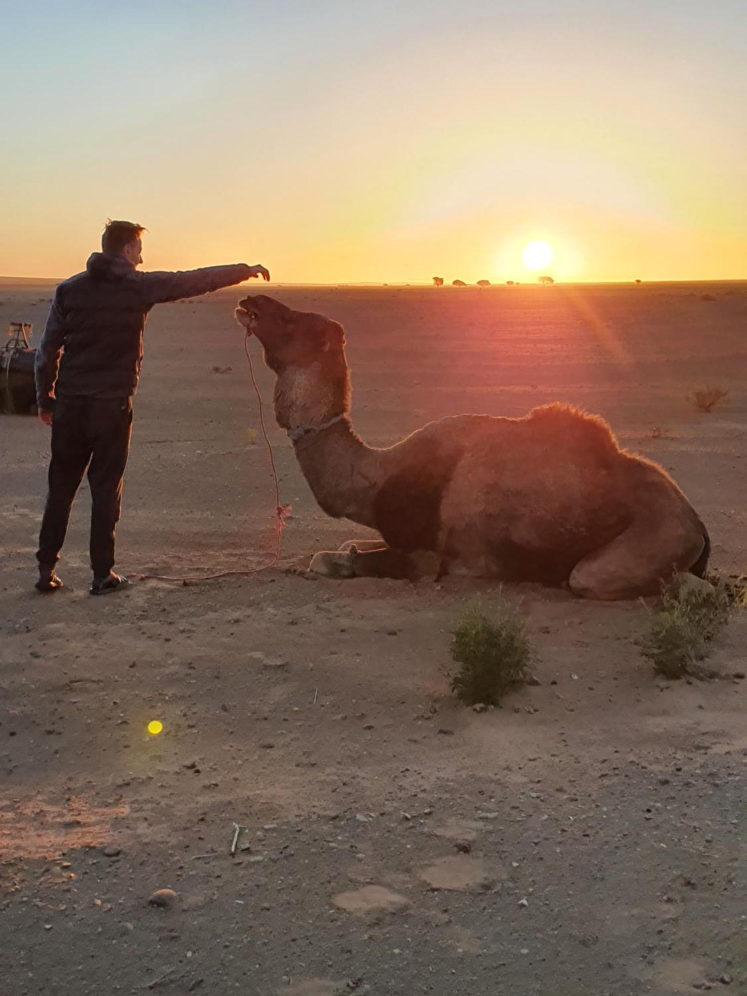 Bivouac Les Nomades & Foum Zguid To Chegaga Tours Hotel ภายนอก รูปภาพ