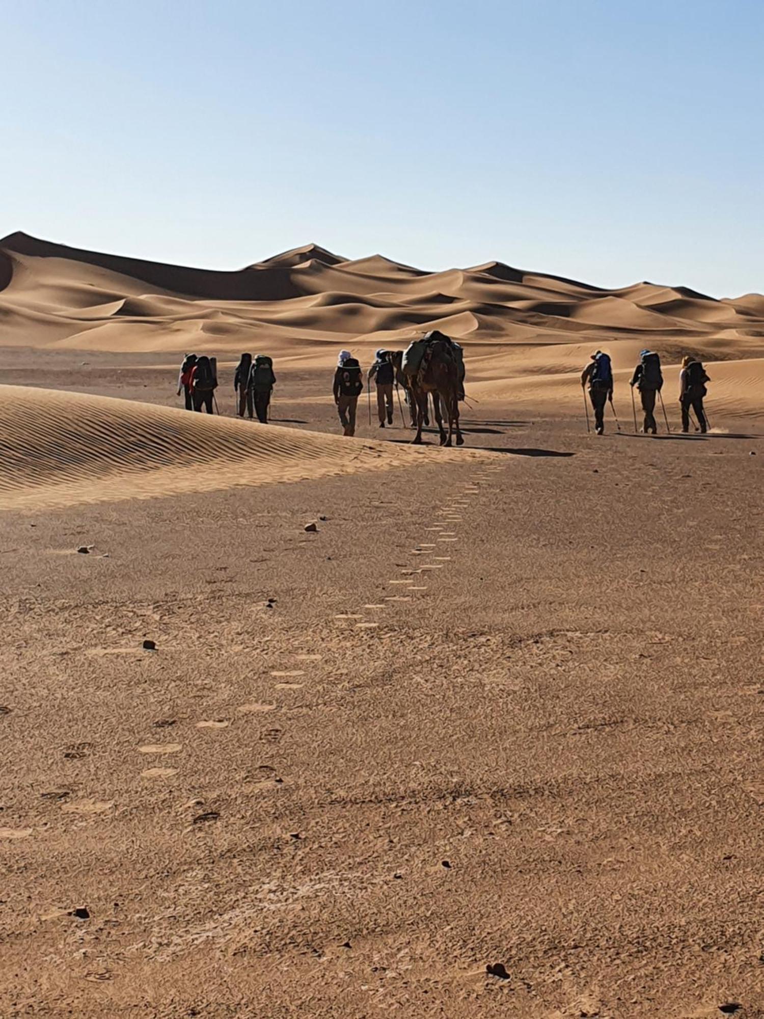 Bivouac Les Nomades & Foum Zguid To Chegaga Tours Hotel ภายนอก รูปภาพ